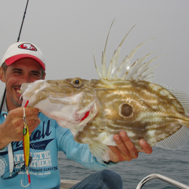 Beau Saint-Pierre pris au slow jig Hayabusa