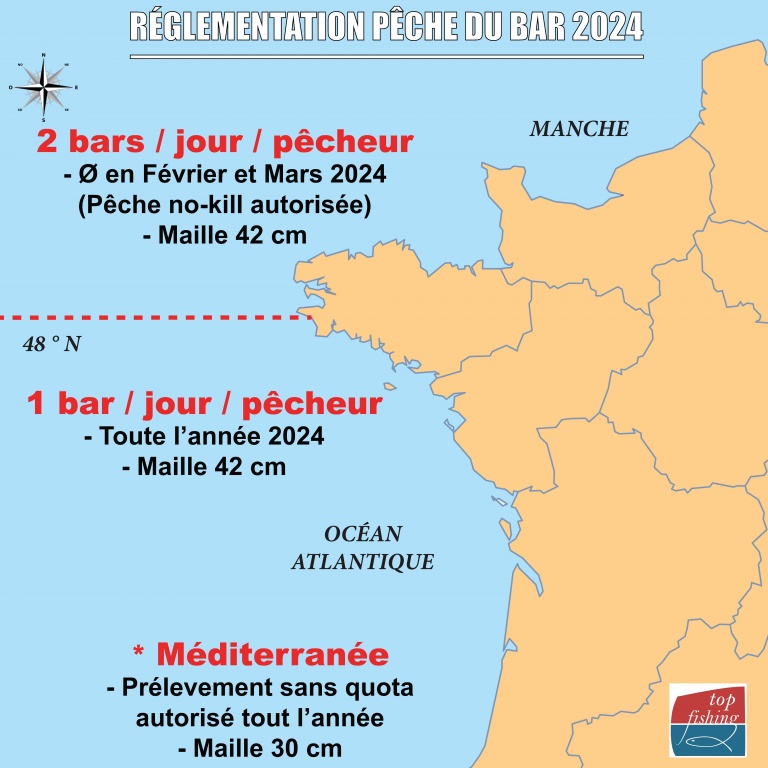 Réglementation pêche du bar 2024 : nord du 48ème : 2 Bars / pêcheur. Sud du 48ème : 1 bar / pêcheur !