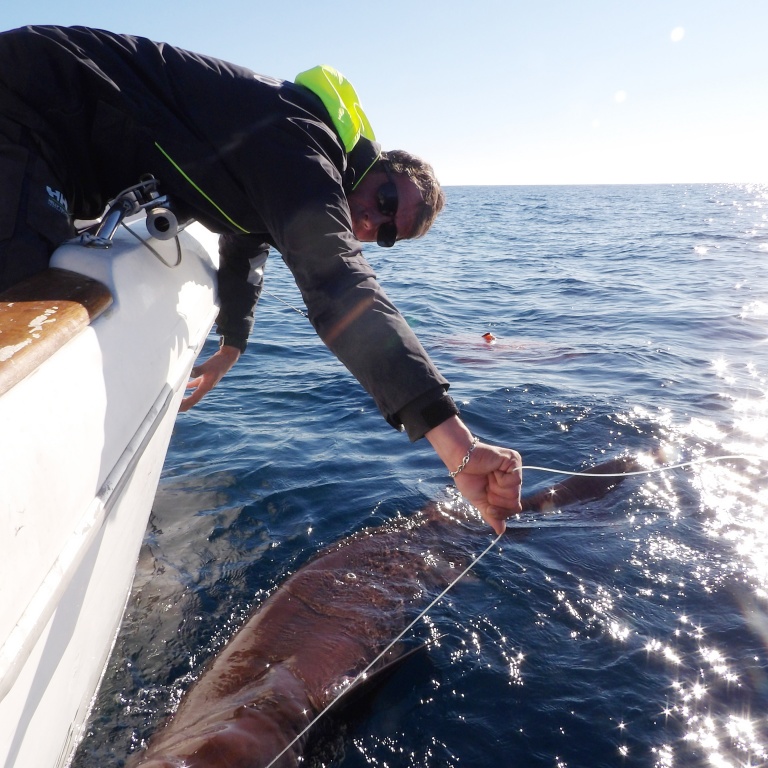 Fabien Harbers avec un griset de 3 m ! 