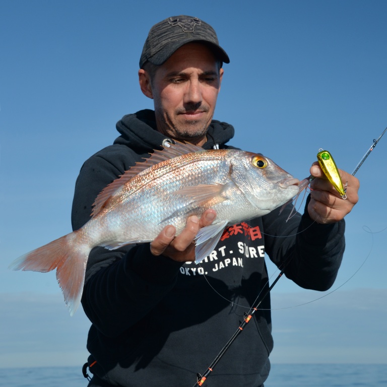 Beau pagre pêché avec un Inchiku Kick Bottom Hayabusa