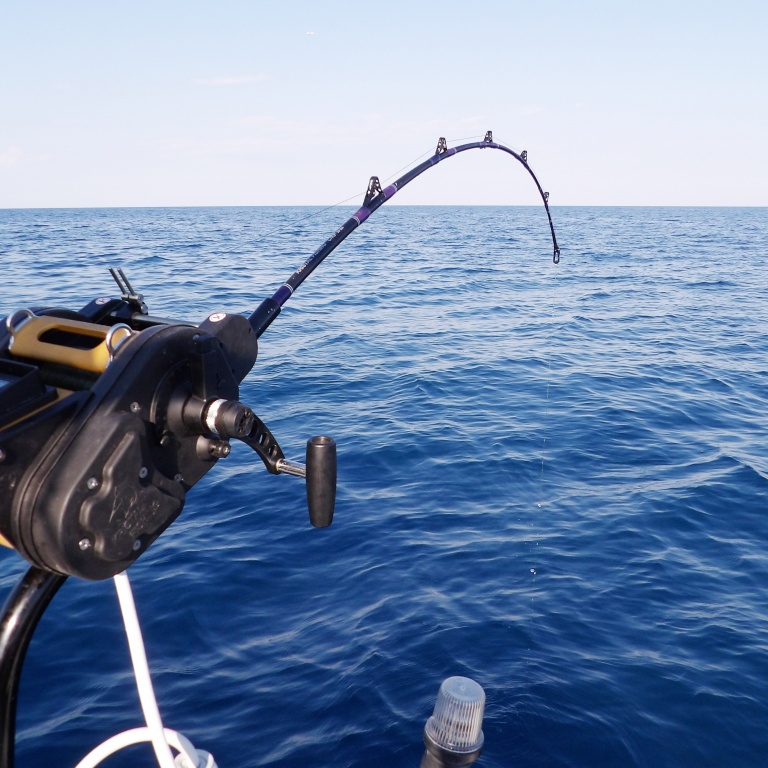 Moulinet électrique XL611 Kristal Fishing en pleine action !