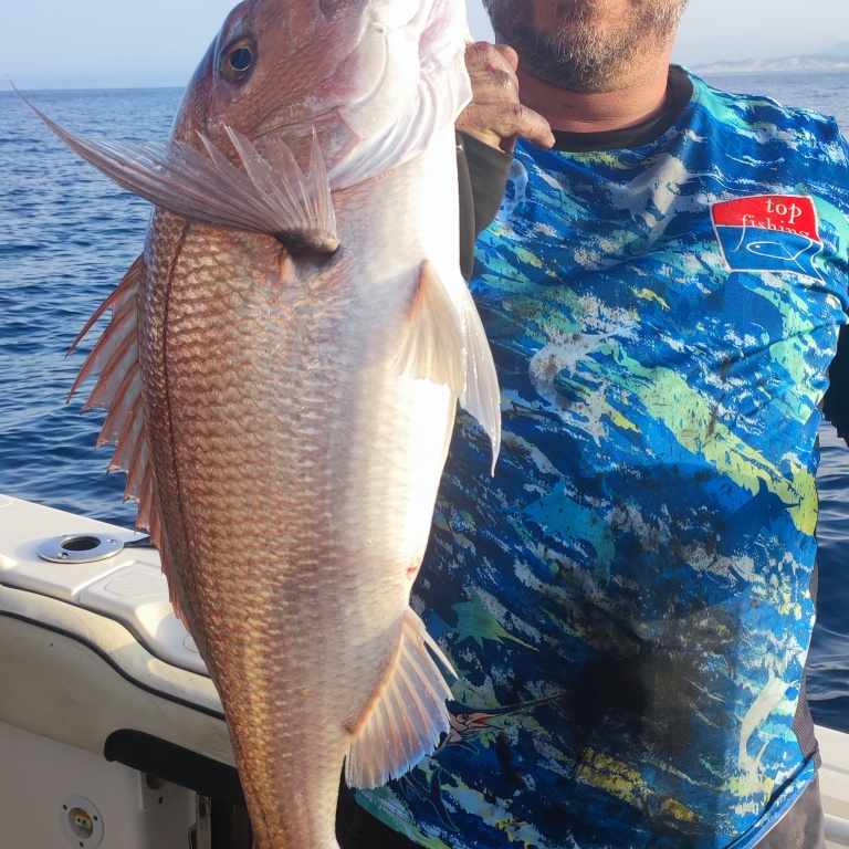Le Fireball Top Sea est hyper efficace sur les beaux sparidés carnassiers