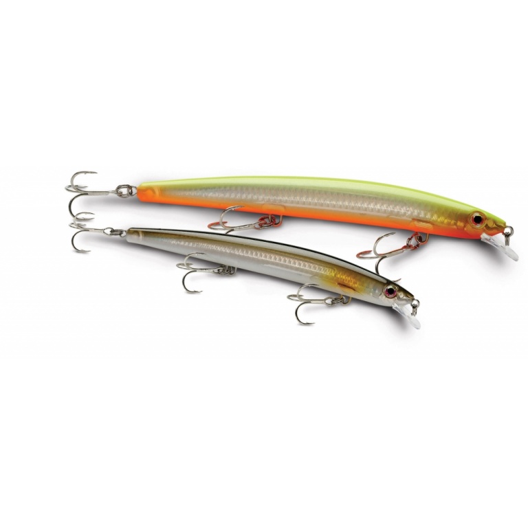 barracuda le max rap 17