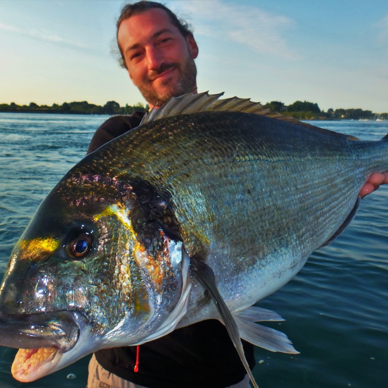 Une dorade royale de plus de 4 kg dans de puissants courant offre un combat impressionnant !