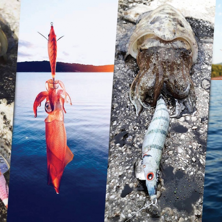 "DTD" est un des rares fabricants européens de matériel de pêche de haute qualité.