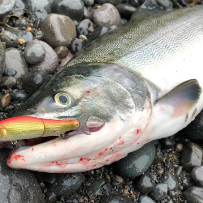 Gancraft a la réputation de créer des leurres pour la pêche de très bonne qualité, innovants et aux finitions exceptionnelles.