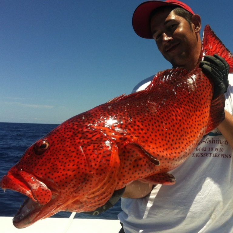 leurre heru wahoo en peche exotique avec bruno 