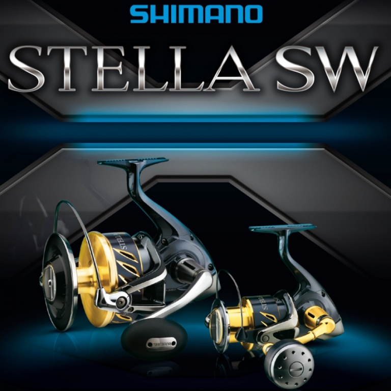 Moulinet Stella SW 2013 