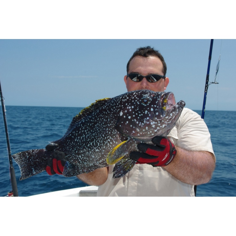 pêche d'un merou en exotique leurre 