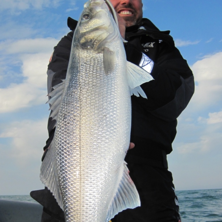 Pêche au loup avec pure fishing