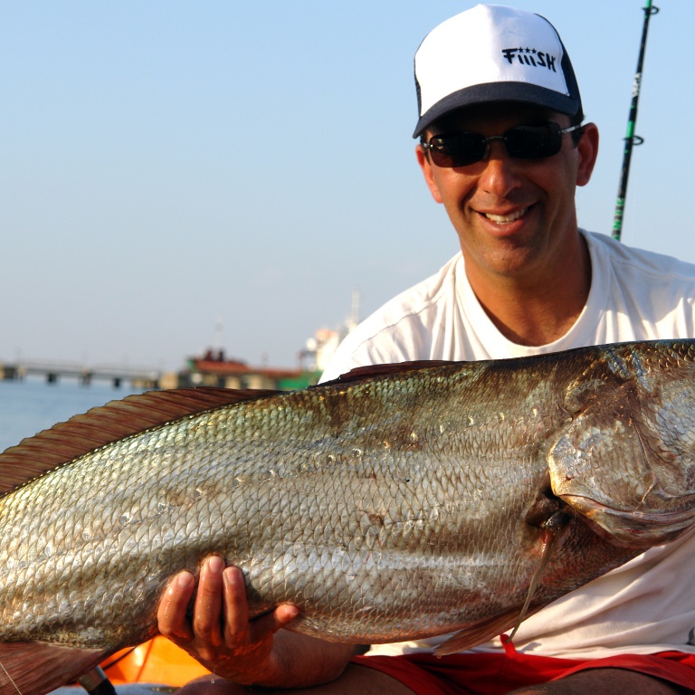 Les maigres adorent le Black minnow en coloris rose (poisson de 8 kg)
