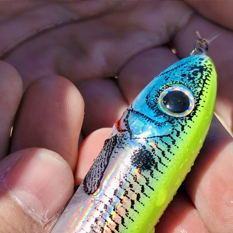 Rattlin Spook Heddon, il sera bientôt remplacé par le Super Spook Heddon