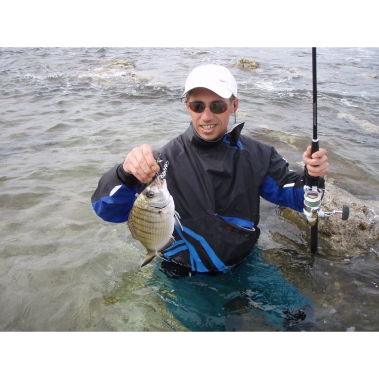 Un sar au poisson nageur en rockfishing