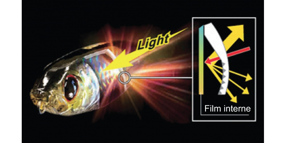 Le film holographique interne du 3DB Pencil Yo-Zuri renvoie de multiples reflets
