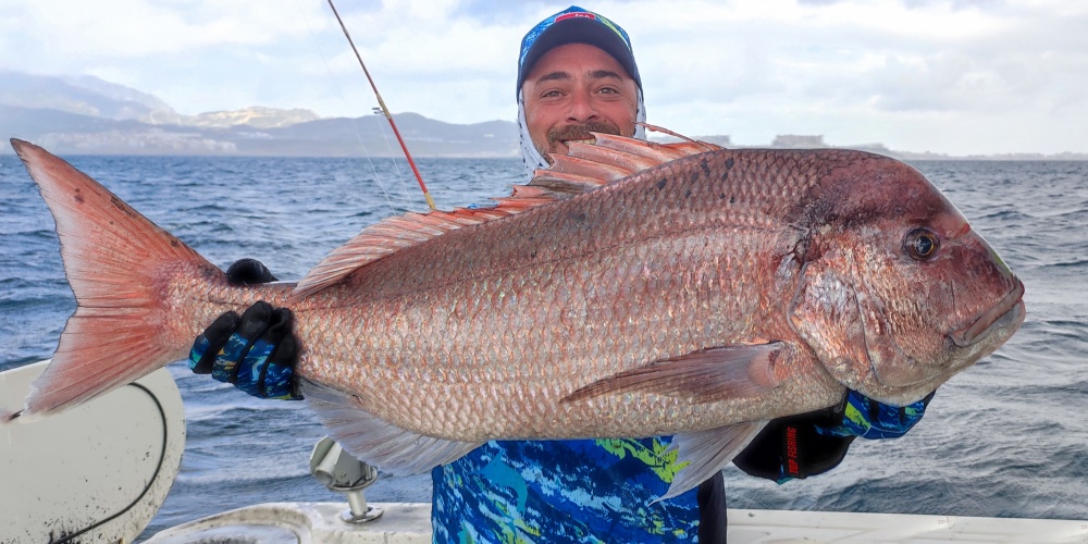Un magnifique Denté rose (sama) pêché avec un Fireball Top Sea !