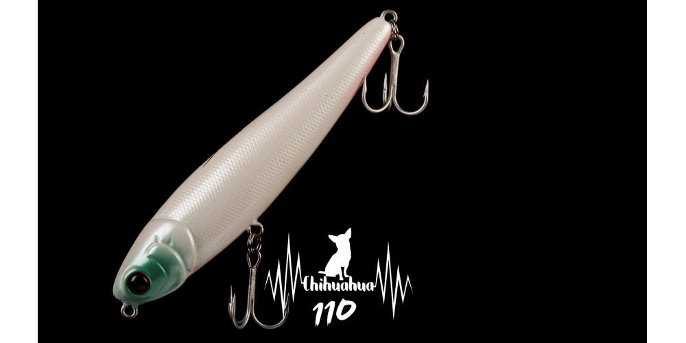 Joli bar pêché avec un stickbait Chihuahua Luna Bait !