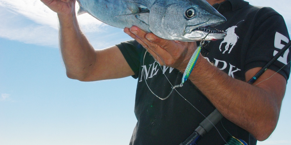 4-tokon-damiki-casting-jig-hyper-efficace-pelamides.jpg Tokon Damiki : un casting jig hyper efficace sur les pélamides !