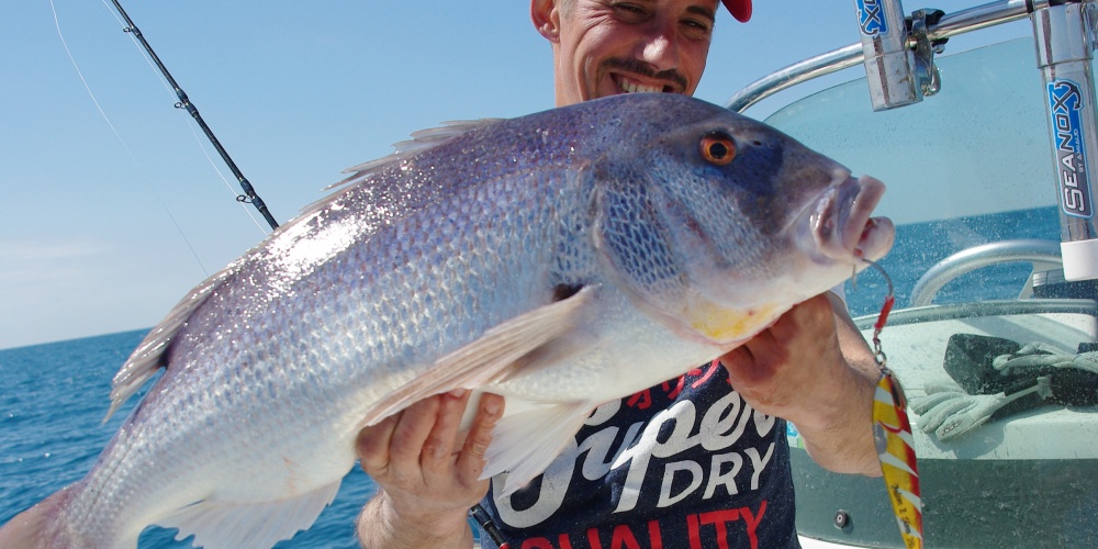 denti-5-5-kg-en-slow-jigging.jpg Denti 5,5 kg pris au Slow Jigging avril 2015