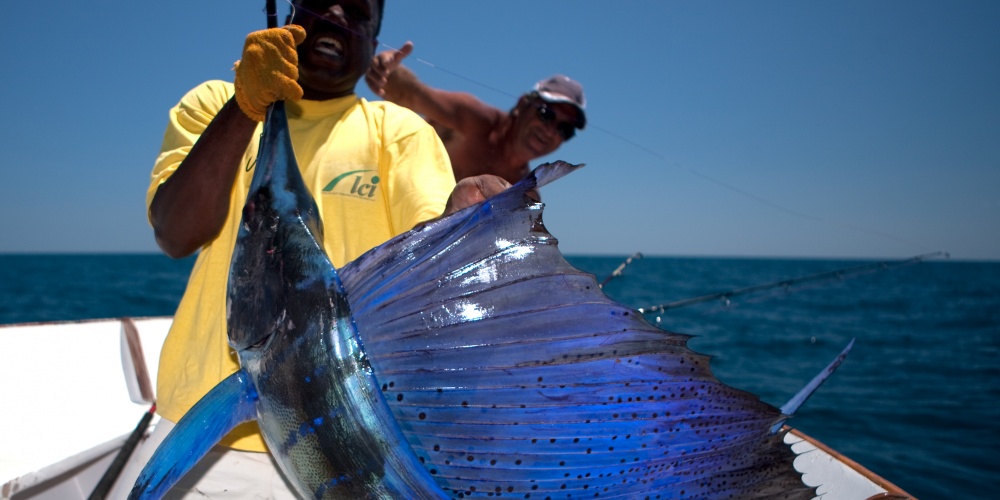 espadon-voilier-madagascar-010.jpg Un poisson trophée !