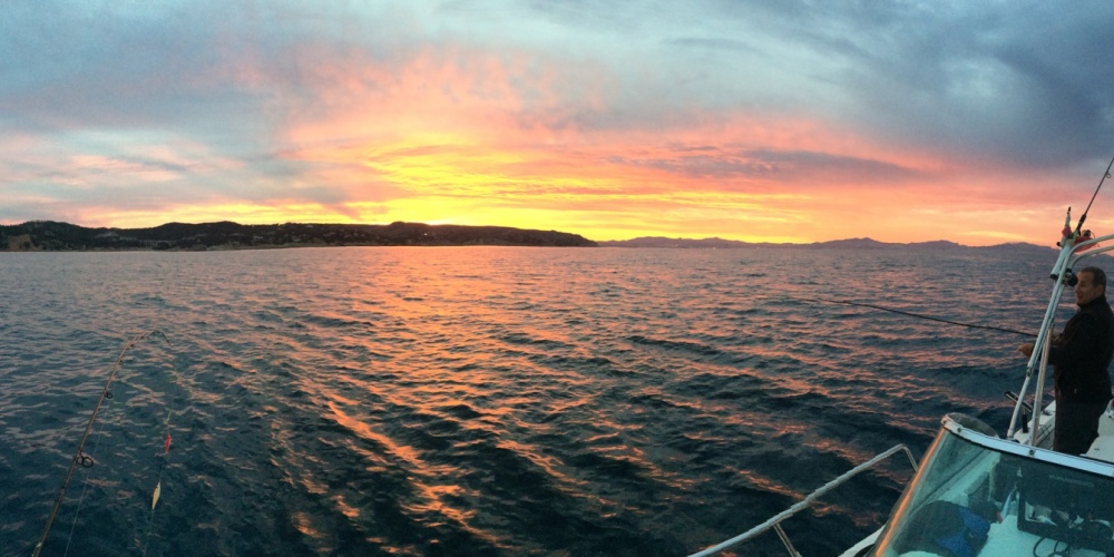 matin_aux_calamars_img_1064.jpg Un matin à la pêche au calamar !