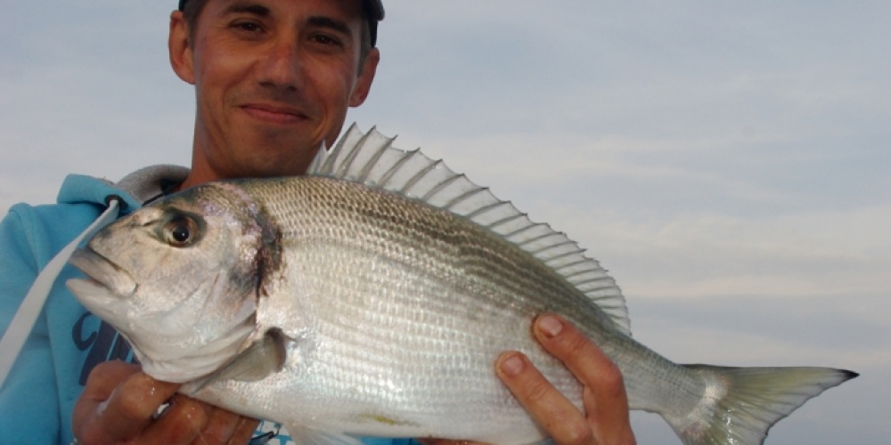 La pêche à la pierre très prometteuse sur les poissons de mer !