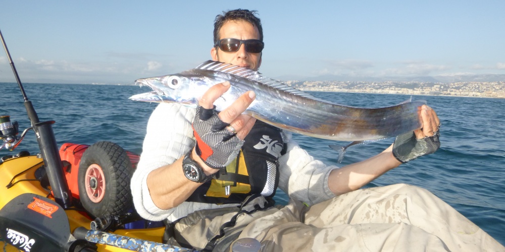 Beaux sabres pris en speed jigging par Fabien Harbers en kayak !