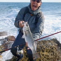 20-joli-bar-pris-shad-monte-tete-plombee-texane.jpg Joli bar pris avec un shad monté sur une tête plombée texane !
