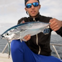 Le Ryuki Duo est un jerkbait coulant idéal pour les pêches sur chasses de bonites !