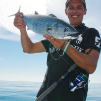 Tokon Damiki : un casting jig hyper efficace sur les pélamides !