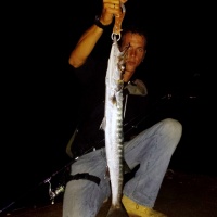 8-beau-barracuda-pris-fabien-avec-un-tide-minnow-175-blanc.jpg Beau barracuda pris par Fabien avec un Tide Minnow 175 blanc