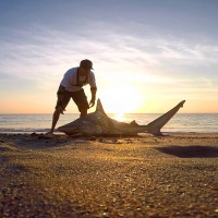 dennis-verreet-peche-au-requin-du-bord-2018.jpg Dennis Verreet, pêche au requin du bord