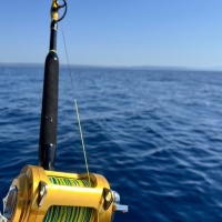 Le Gladiator de chez Italcanna l’excellence italienne ...