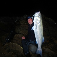 le-shad-pulse-blanc-est-une-valeur-sur-la-nuit.jpg Le shad pulse blanc est une valeur sûre, la nuit !
